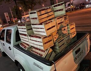Combate al contrabando de tomate: esta semana se incautaron 5.000 kilos - Policiales - ABC Color