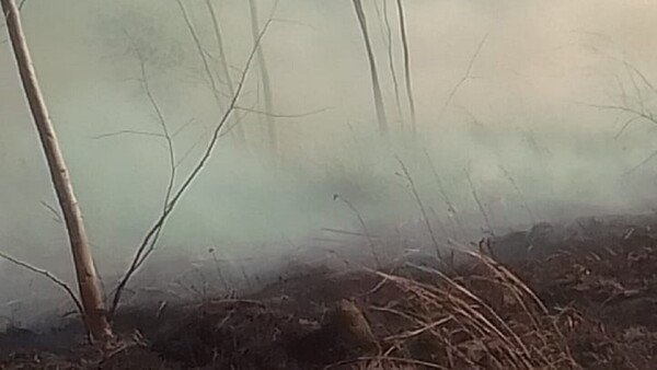 Gran incendio forestal en Santaní amenaza a unas 40 familias