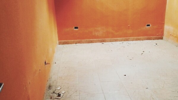 Roban hasta cables que van por la pared