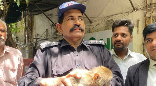 Bebé mono provoca caos en un tribunal de Pakistán