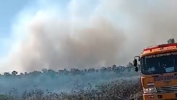 Fuego de grandes proporciones se propaga con gran rapidez en ruta Luque-San Ber