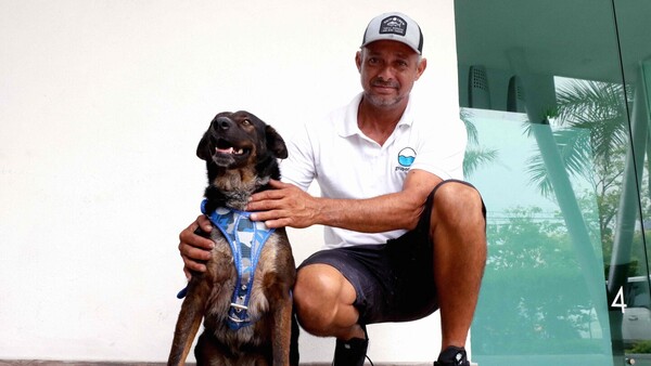 Tras odisea en altamar, Bella celebra el Día Mundial del Perro con su segundo papá