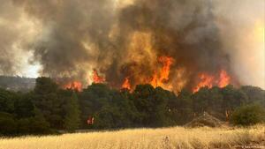 Grecia se enfrenta a ola de calor más larga de su historia - ADN Digital