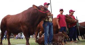 La Nación / Los remates superaron las expectativas de productores