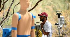 La Nación / Cómo impacta el calor en humanos