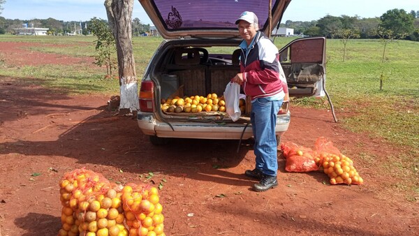 Naranjero del Sur mantiene a su familia con los cítricos que cultiva