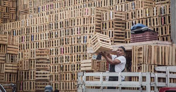 Diario HOY | Lamentan prohibición del uso de cajas de madera en productos frutihortícolas