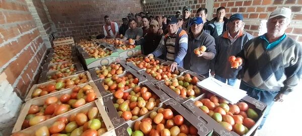 Registran leve repunte en precio del tomate, según ministro de MAG - Economía - ABC Color