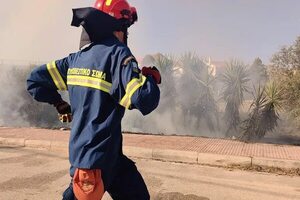 Los incendios forestales en Europa, cada vez más violentos - Ciencia - ABC Color