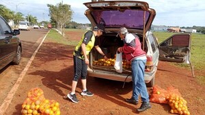 NARANJERO TRINIDENSE SUSTENTA A SU FAMILIA CON LOS CÍTRICOS QUE CULTIVA