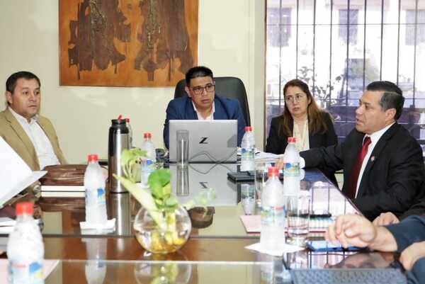 ANDE y Diputados analizan préstamos