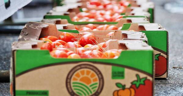 La Nación / Precios del tomate repuntaron en esta semana