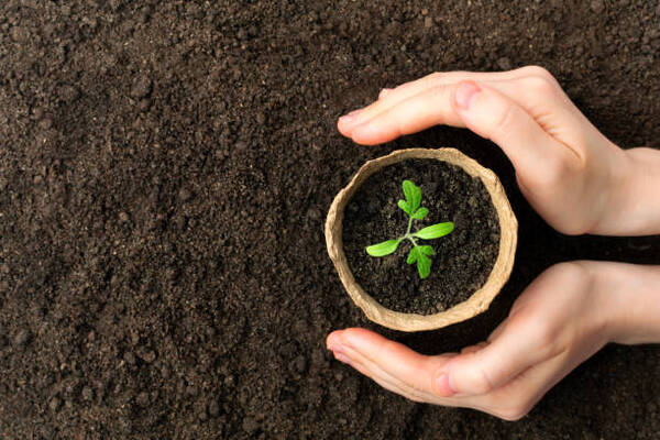 Urbas ampl铆a el contrato con Atome en Paraguay para una planta de fertilizantes verdes - Revista PLUS