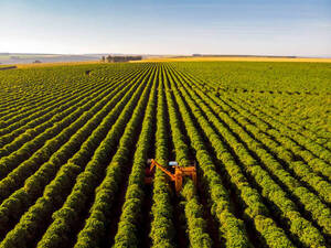 Latinoam茅rica coincide en fortalecer la acci贸n clim谩tica en la agricultura - Revista PLUS