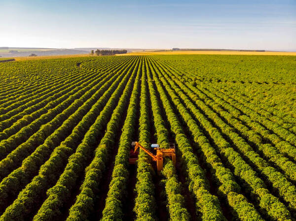 Latinoam茅rica coincide en fortalecer la acci贸n clim谩tica en la agricultura - Revista PLUS