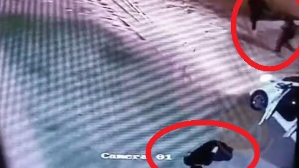 "No había necesidad de matarlo", lamenta viuda de conductor de Bolt asesinado en asalto