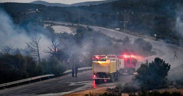 La Nación / Más de 30 personas perdieron la vida por incendios forestales en Argelia