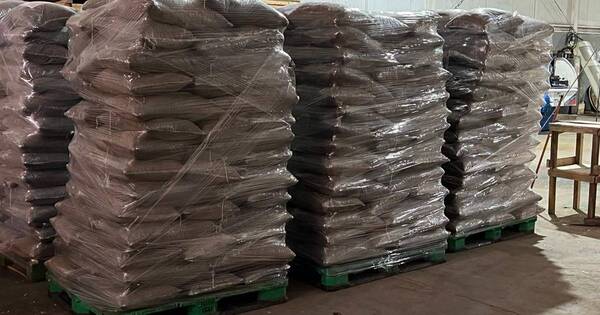 La Nación / Exitosa primera exportación de pellets made in Paraguay a Chile