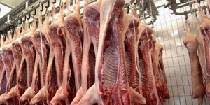 Inician trabajos con miras a exportar carne bovina y porcina al mercado boliviano