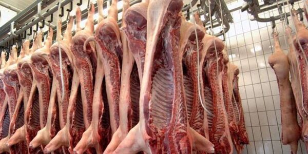 Inician trabajos con miras a exportar carne bovina y porcina al mercado boliviano