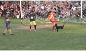 (VIDEO)¡Falta profe!: Pelotero pateó a jagua que se metió en el partido y piden sanción