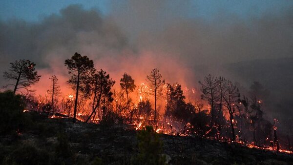 Al menos 34 muertos y 1.500 evacuados por los incendios forestales que afectan el noreste de Argelia