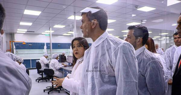 La Nación / Salud pública: “Me voy a involucrar más todavía”, asegura Peña