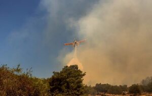 Vídeo: dos muertos al estrellarse un avión cisterna en la isla griega de Eubea - Mundo - ABC Color