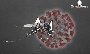 Alertan de inusual brote de chikungunya y dengue en invierno - OviedoPress