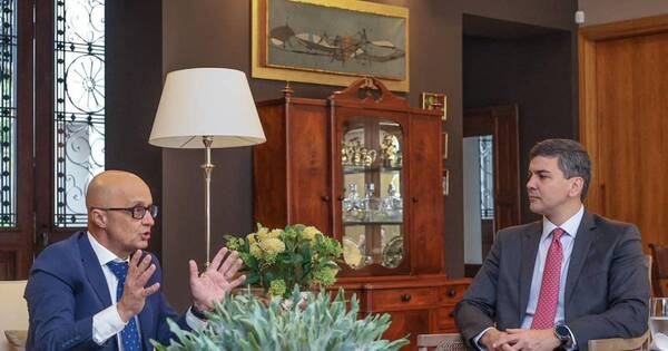La Nación / Peña recibió a director de Air Europa y habló de alianzas entre Paraguay y la aerolínea