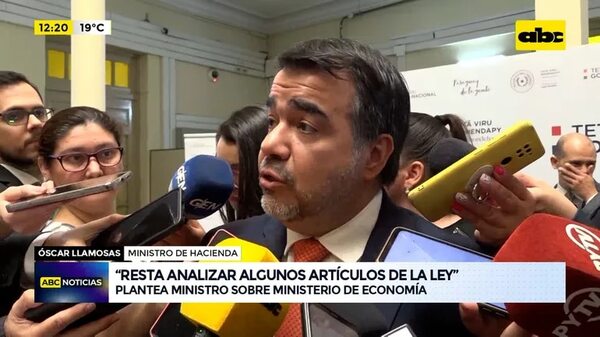 Video: “Resta analizar algunos artículos de la ley” - ABC Noticias - ABC Color