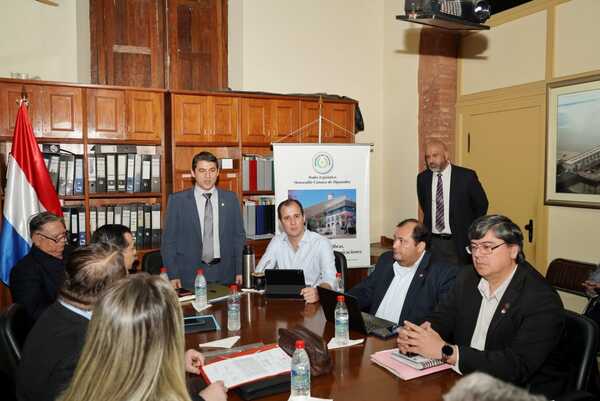 ANDE impulsa construcción de nuevas líneas de transmisión para fortalecer el sistema eléctrico