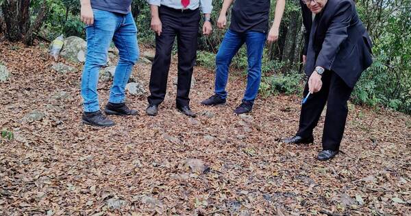 La Nación / Encuentran restos óseos en Cordillera: presumen que serían los de María Ramona