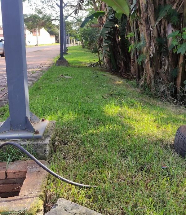 Ladrones roban cables y dejan a oscuras concurrido parque de Franco - ABC en el Este - ABC Color