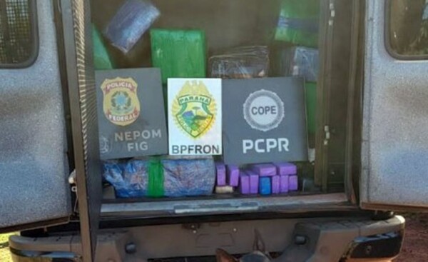 Incautan de 357 kilos de marihuana a orillas del lago de Itaipú