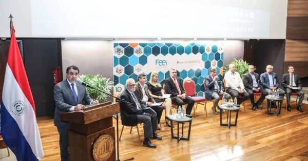 La Nación / El FEEI solo concretó 7 de 20 proyectos aprobados