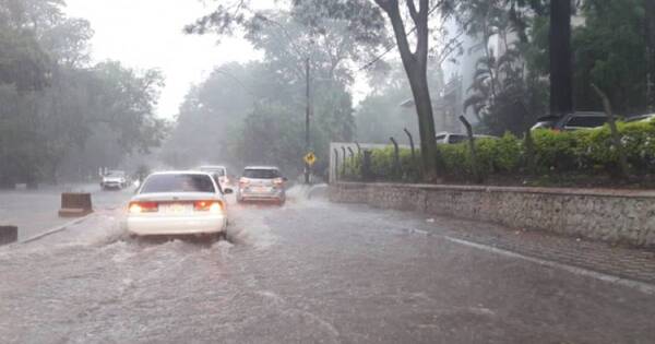 La Nación / El Niño: desde setiembre “lloverá más y hará calor”