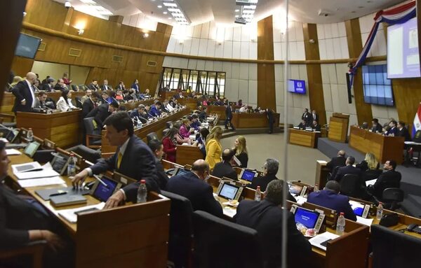 Préstamos e intervención en agenda de Diputados - Política - ABC Color