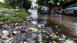 Inusual rebrote de chikungunya y de dengue pone en alerta a Salud