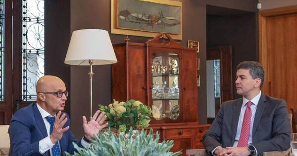 La Nación / Peña recibió a director de Air Europa y hablaron de alianzas