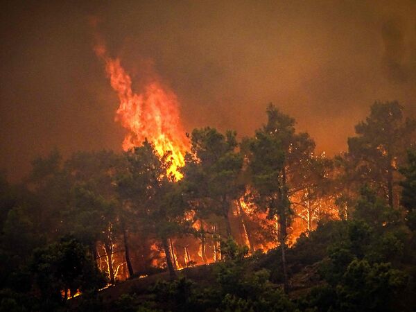 El termómetro vuelve a subir en Grecia, donde el fuego arrasa islas turísticas - .::Agencia IP::.