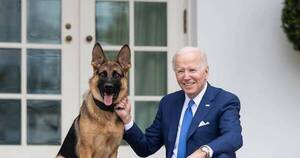 La Nación / Acusan al perro de Biden de diez ataques en la Casa Blanca