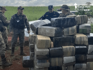 HALLAN MÁS DE MIL KILOGRAMOS DE MARIHUANA EN ZONA BOSCOSA DE TOMÁS ROMERO PEREIRA