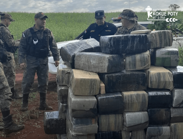HALLAN MÁS DE MIL KILOGRAMOS DE MARIHUANA EN ZONA BOSCOSA DE TOMÁS ROMERO PEREIRA