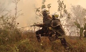 Al menos 34 muertos por incendios forestales en Argelia - Oasis FM 94.3