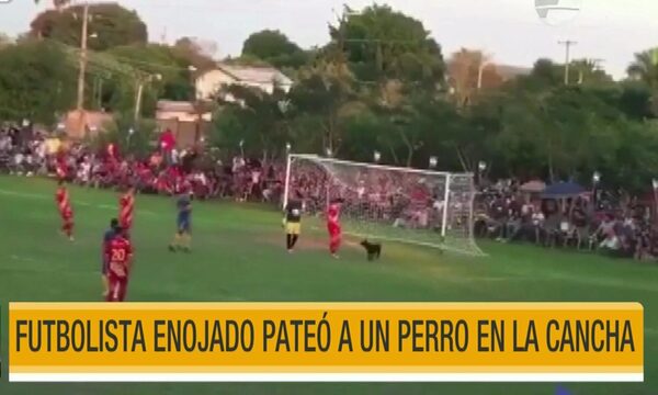 Futbolista enojado pateó a un perro en la cancha | Telefuturo