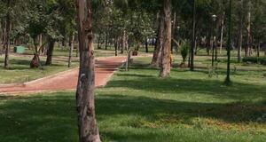 Medirán la calidad de aire en el Parque Caballero