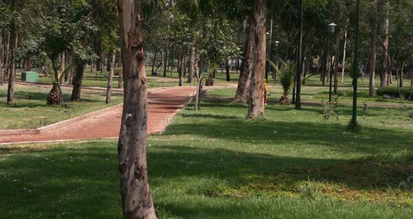 Medirán la calidad de aire en el Parque Caballero