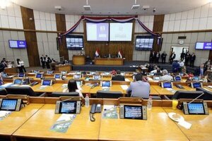 Préstamo para la ANDE, entre los 10 temas que estudiarán hoy los diputados - ADN Digital