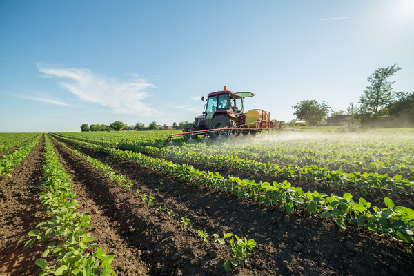Mejora en sector agrícola empuja al alza al PIB de 5 % a 5,6 %, al cierre del año